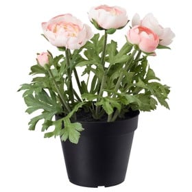 Decorative plant IKEA Fejka Ranunculus